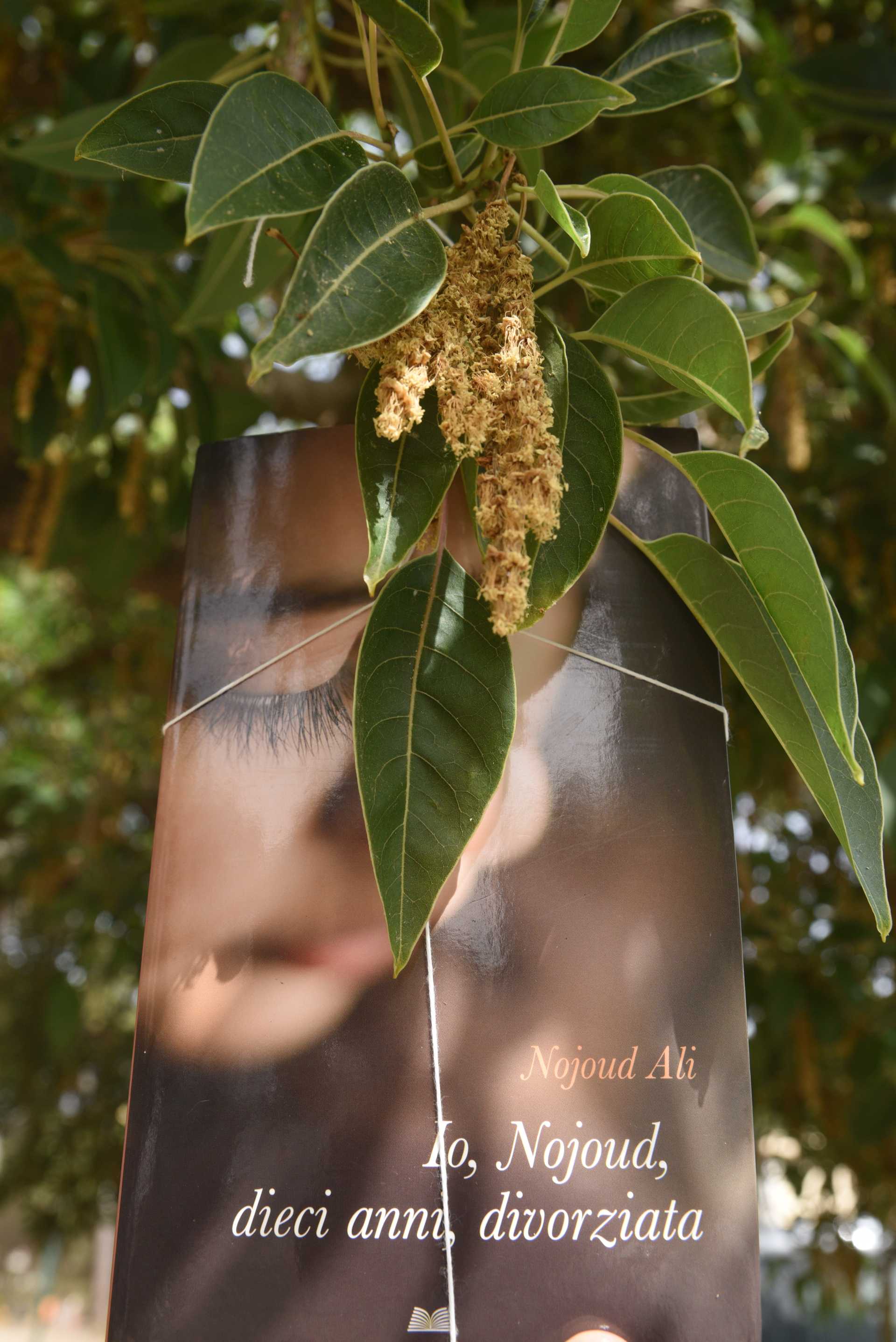 L''albero dei libri....